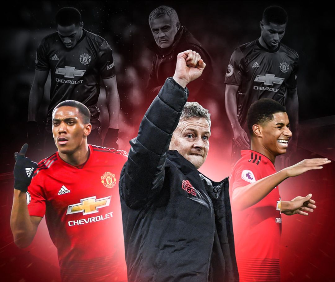 提供了新的 提供了新的